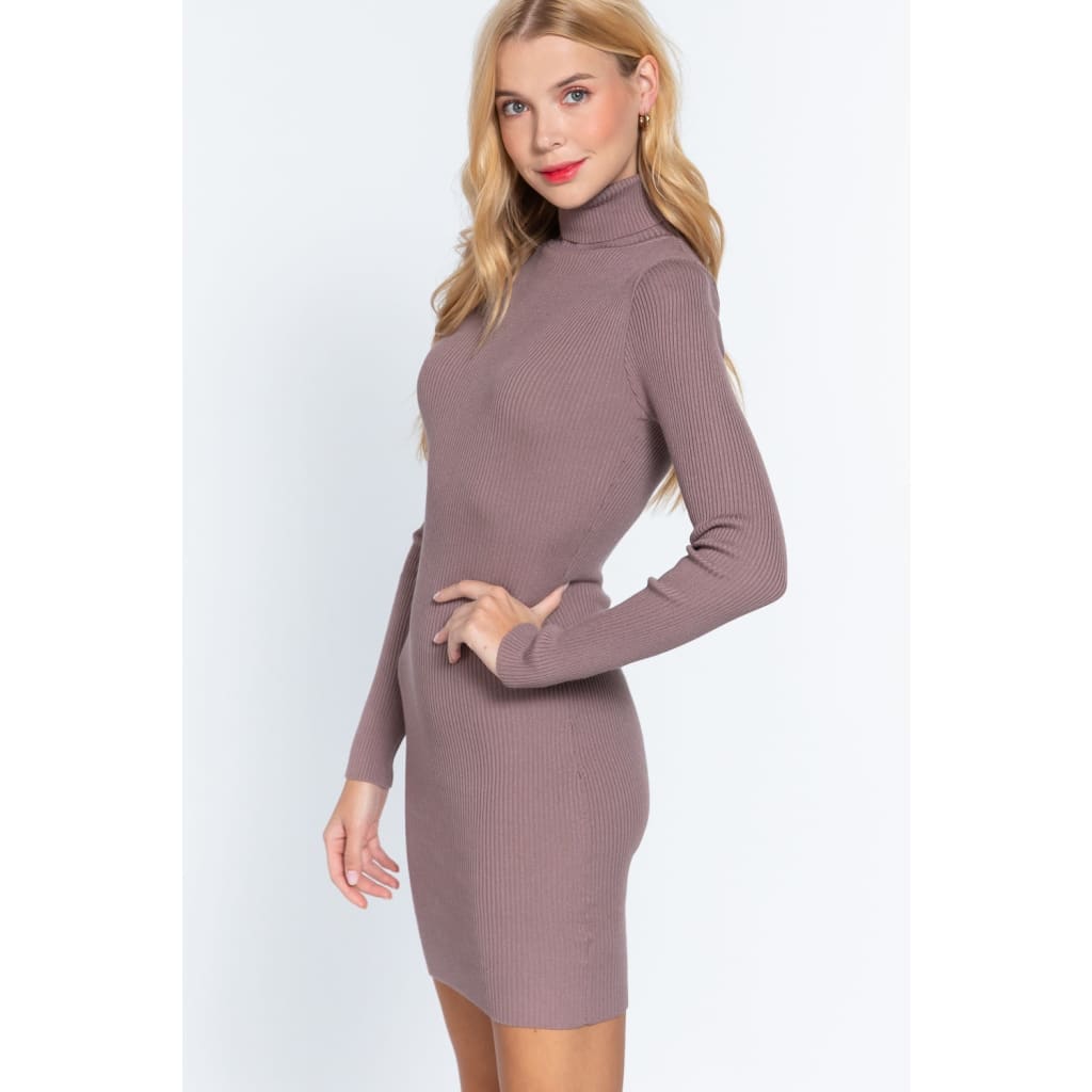 Turtle Neck Sewater Mini Dress
